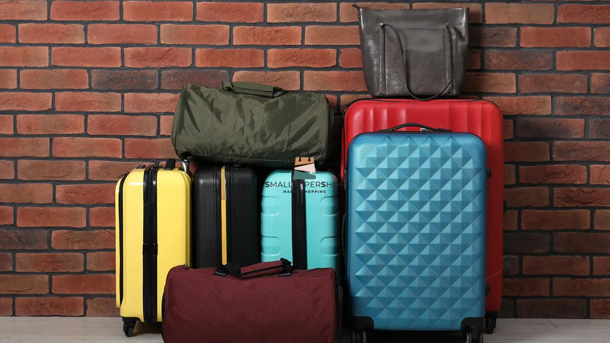 תיק לנסיעות